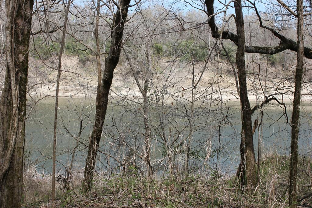 This 6.25-acre tract of land on the Trinity River.  The piece along the Trinity River has a lot of hardwoods and you can enjoy fishing in the river.  There is an additional 43+- acre tract on the other side of Spring Ridge Rd. that can be used for hunting or potential for a house.