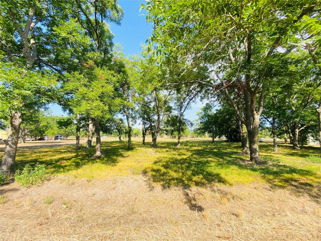 1.1 acre lot in the county with no known restrictions! Build your dream custom home or put a manufactured home on the lot - your choice! There appears to already be a water well on the property. It will need to be completed with a motor and pump but the drilling appears to be completed. There is an entrance already in place for the lot. The lot has huge mature pecan trees. This will make a beautiful homesite! The area is not in a flood zone and according to the neighbor it does not flood. Have your dream property with no worries of it flooding! Drive by today and take a look and imagine your home under the beautiful trees! There is a corner post set by the electric pole. It appears that is the boundary of the property. The properties on the 3 sides are mowed and this lot is not. Boundary seems to be the mowed edges.