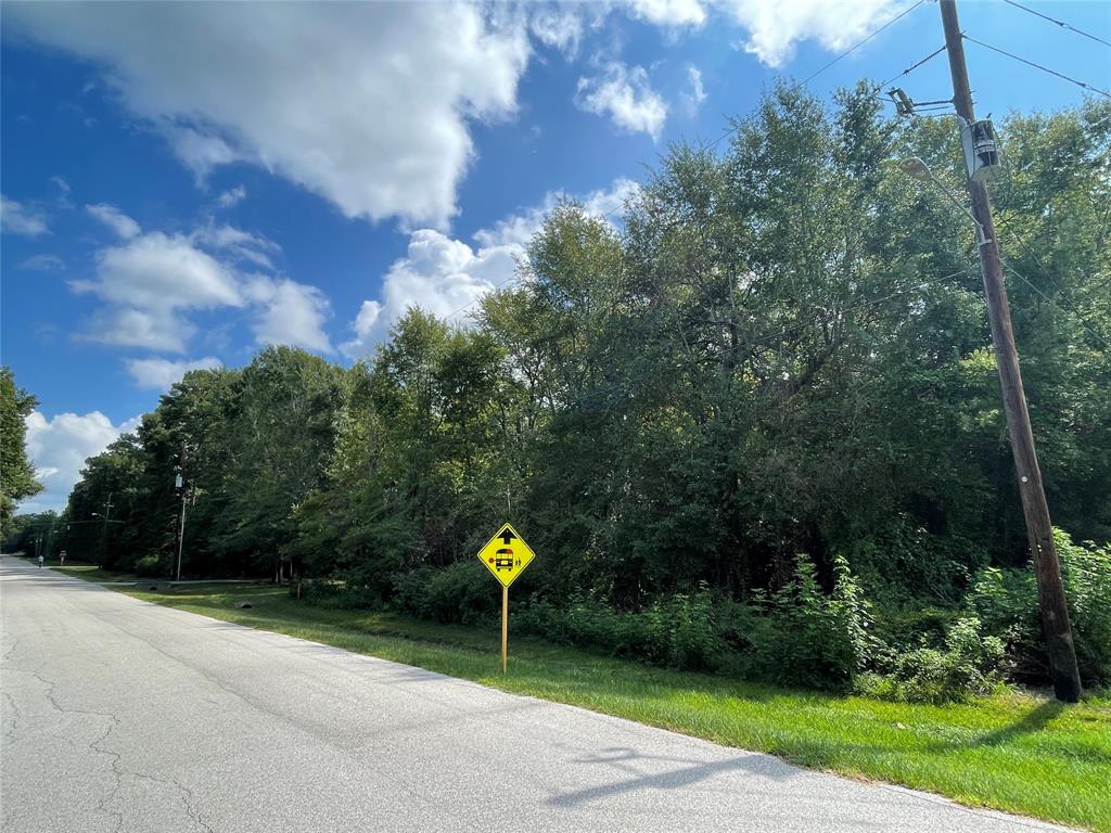 0  Paradise Point Drive Willis Texas 77378, 39