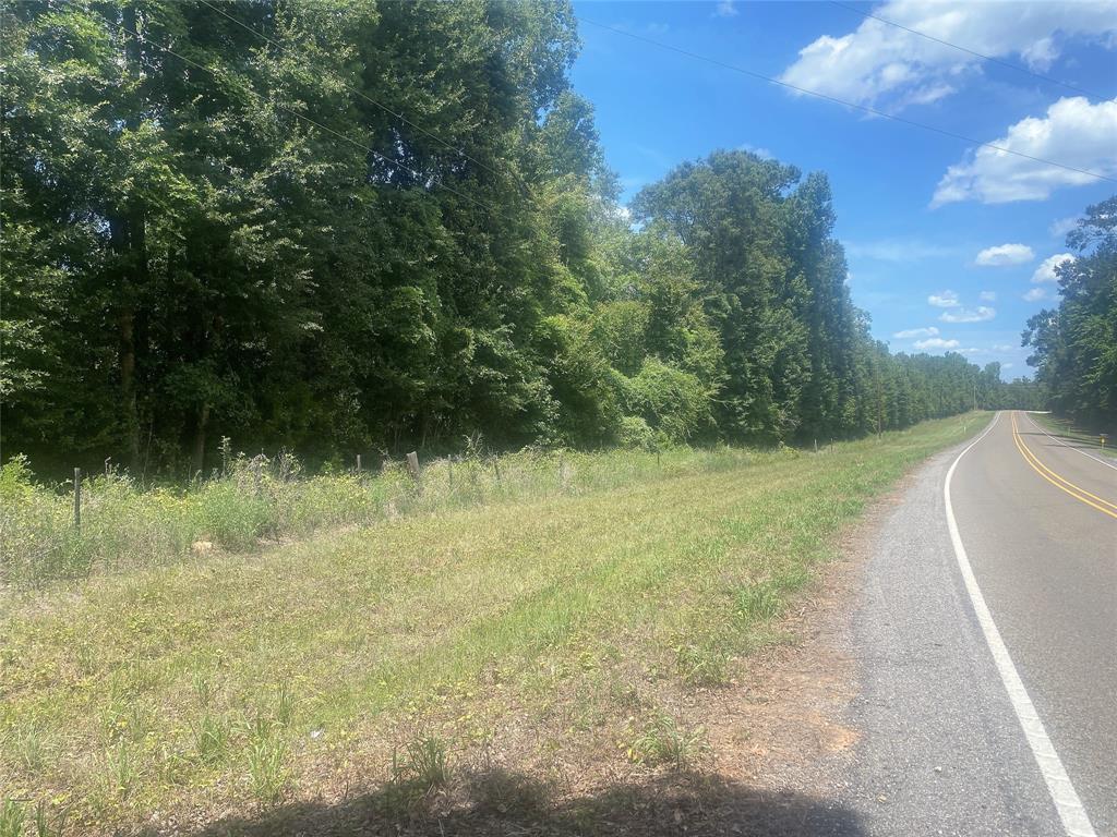 If you are looking for a great recreational tract, here it is!  18.7+ wooded acres off FM 2798 in Livingston.  NO Restrictions!  Would make a nice property for hunting, riding ATV's or the perfect weekend getaway!