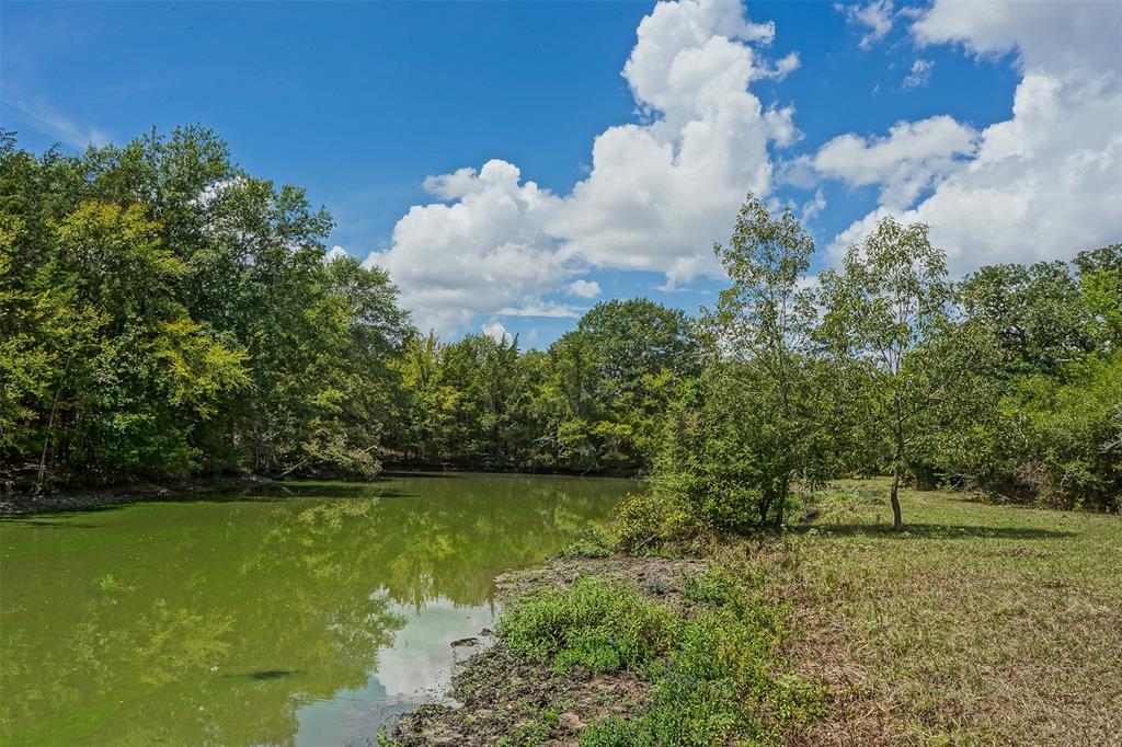 Tract 2  County Road 124  Iola Texas 77831, 60