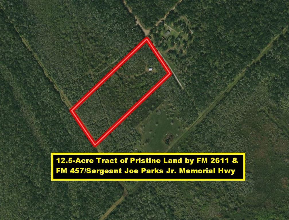 12.5-Acre Tract of Pristine Land by FM 2611 & FM 457/Sergeant Joe Parks Jr. Memorial Hwy. Private Rd 648 is a Restricted Usage Road with Gates. Needs Well & Septic. 25 Miles from Gulf Sandy Beaches & Bay Fishing/Boating. 25 Miles West of Freeport & SW of Lake Jackson. 28 Miles SE of Bay City. The San Bernard Wildlife Refuge is Just East of the Property, a 45,730-acre Wildlife Conservation Area Along the Coast that Supports 320 Bird Species, 95 Reptile/Amphibian Species & 450 Butterfly/Dragonfly Species. There is a POA in Place with Limited Restrictions. The Property is Perfect for a Manufactured Home, Single-Family Home, or Barndominium with Horses and Livestock. See Pictures for Plat. Buyer Verifies Restrictions and Pays for Survey if Required. Appointment Required to Get Gate Code for Private Road. Adjacent 12.5-Acre Tract 7 is Also for Sale Separately or Combined for Total of 25 Acres (see Pics).