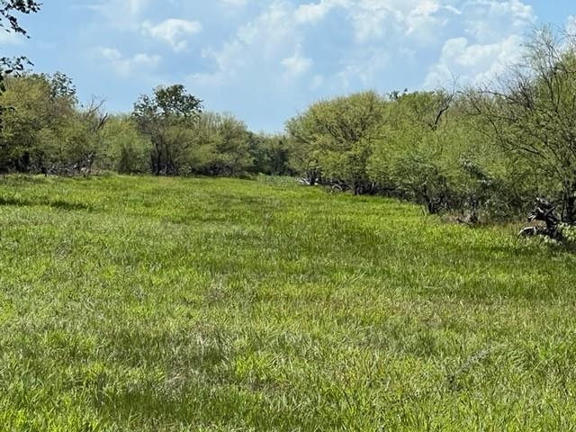 00 Us Hwy 77  S, Refugio, Texas image 17