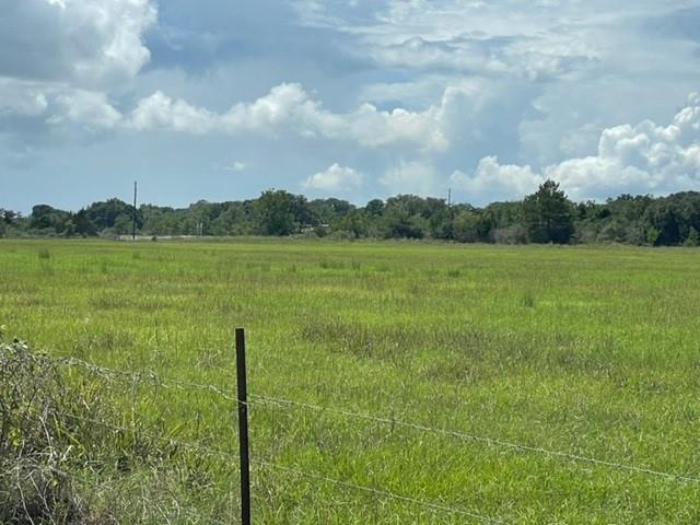 A beautiful and private 23.706 acres of peace and quiet located in Sealy Texas.  This property is currently AG exempt with excellent hay production.  Property is located in a flood plain.  Very close to Cat Springs that includes a long country road frontage.  Build your dream home today!!!