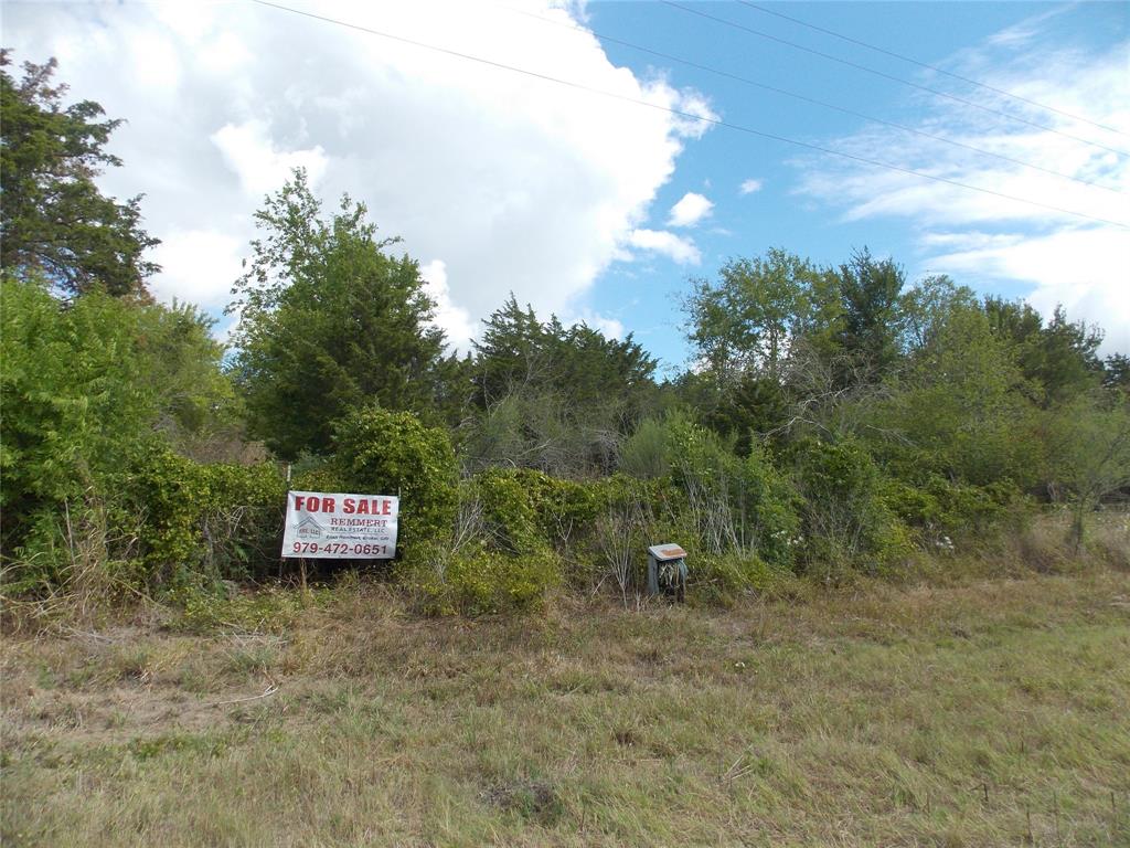 0000  Farm to Market 2447 Road Chappell Hill Texas 77426, 58