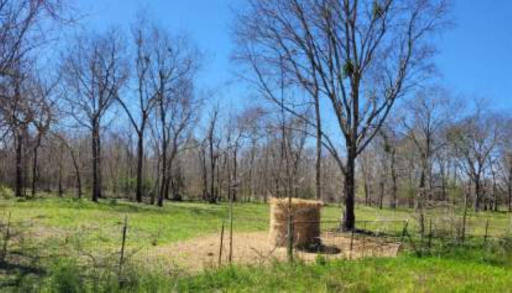 Nice cleared 1 acre corner lot on a quiet road in East Bernard, near Hungerford. Close to US 59 North. 
Ready for you to build your new home!