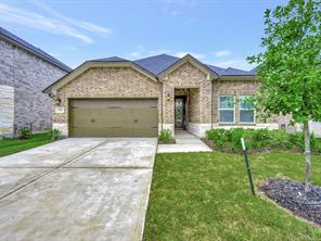 9853 Pearly Everlasting, Conroe, TX, 77385