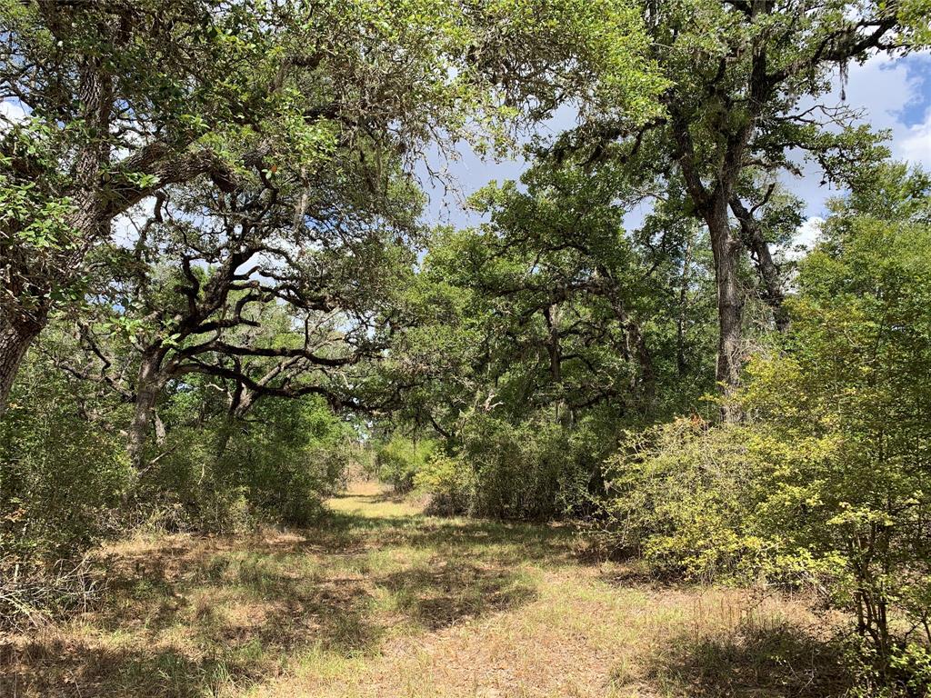 Lot 1  +/- 11.00 acre tract in The Lazy Sandies Subdivision located in Lavaca County approximately 18.5 miles southeast of Hallettsville at the end of County Road 158. Additional Lots Available are Lots 2, 3, 4, 10, 11, 12, 13 and 14 are also +/- 11.00 acre tracts and are similar type tracts at the same list price. Photos are a compilation of similar tracts. Secluded wooded tracts feature mature live oaks and variety of other trees, brush, loamy sand soil, wildlife, ATV trails and building sites. Road is built and Electric lines are being built. Ideal recreational property for weekender or full-time living. These Lots will be a conveyance of the Surface Estate only & no mineral rights will be conveyed. See Additional Information to view Subdivision Plat and Restrictions.Tri-County Realty will co-broker with Buyer’s Agent making initial contact & present at all property showings. Contact Roger Sustr with Tri-County Realty for additional information or to schedule an appointment to view.