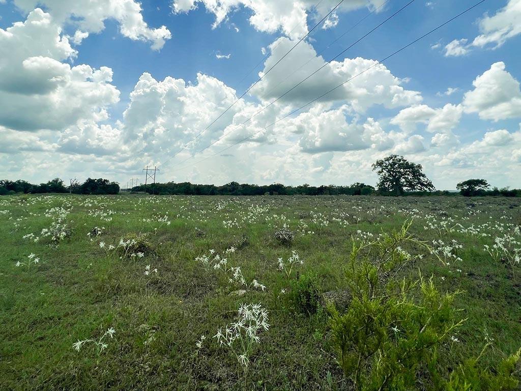 Tract #3 Fm 2562 RD Road, Richards, TX 77873