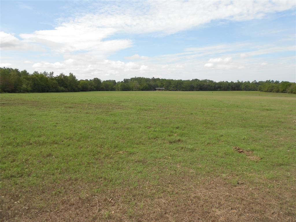This is a very nice fenced and cross fenced cattle property that is secluded in Houston County near Pennington, Texas.  The property is mostly open with clusters of trees that make it also an ideal hunting property.  There are 4 ponds, cattle working pens, squeeze chute, 30'x50' hay barn, storage building, and 15 acre fenced hay field.  Electrical utilities are available at the front gate of property.