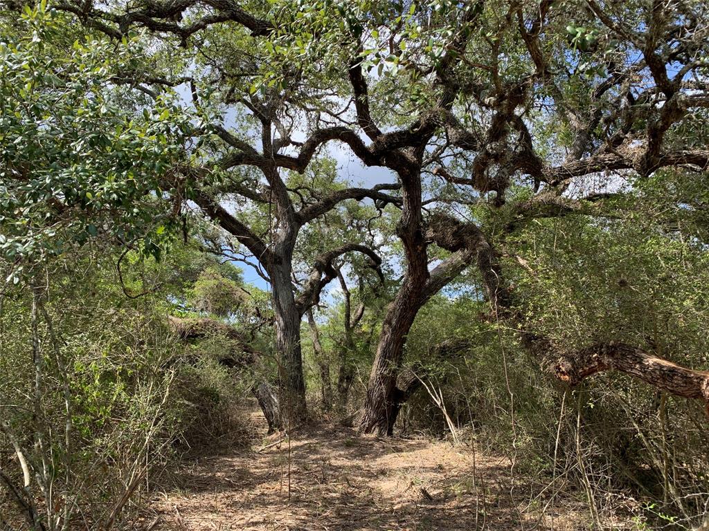 Lot 5  +/- 11.00 acre tract in The Lazy Sandies Subdivision located in Lavaca County approximately 18.5 miles southeast of Hallettsville at end of CR158.Additional Lots Available are Lots 7, 8 & 9 are also +/- 11.00 acre tracts, similar type tracts at the same list price. Photos are a compilation of the similar tracts. Secluded wooded tracts feature mature live oaks and variety of other trees,brush,loamy sand soil,wildlife,ATV trails and building sites.Road is built and Electric lines are being built.Lot 7 borders a seasonal creek.Partial floodplain along creek.Ideal recreational property for weekender or full-time living.These Lots will be a conveyance of the Surface Estate only,no mineral rights will be conveyed.See Additional Information to view Subdivision Plat and Restrictions.Tri-County Realty will co-broker with Buyer’s Agent making initial contact & present at all property showings.Contact Roger Sustr with Tri-County Realty for information or to schedule an appointment to view.