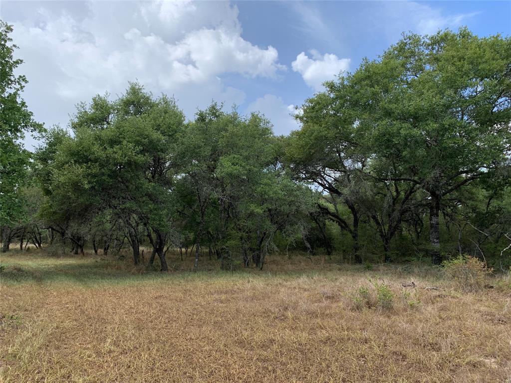 Lot 6  15.90 acre tract in The Lazy Sandies Subdivision located in Lavaca County approximately 18.5 miles southeast of Hallettsville at the end of County Road 158.  Some photos are a compilation of the similar tracts or subdivision.  Secluded wooded tracts feature mature live oaks and variety of other trees, brush, loamy sand soil, wildlife, ATV trails and building sites.  Road is built and Electric lines are being built.  Lot 6 borders a seasonal creek.  Partial FEMA Floodplain along creek.  Ideal recreational property for weekender or full-time living.   These Lots will be a conveyance of the Surface Estate only & no mineral or royalty rights will be conveyed.  See Additional Information to view Subdivision Plat and Restrictions  Tri-County Realty will co-broker with Buyer’s Agent making initial contact & present at all property showings. Contact Roger Sustr with Tri-County Realty for additional information or to schedule an appointment to view.