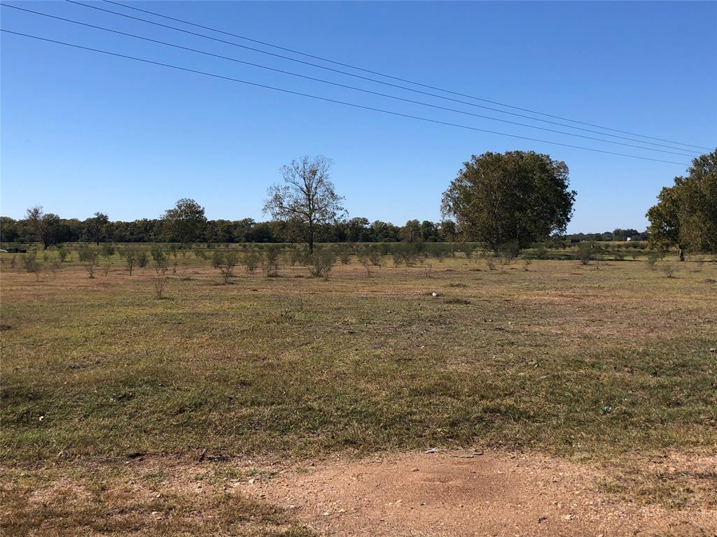 43.460 acres at the corner of I-10 and Hwy 71 in Columbus Tx.  Property has road Frontage on I-10 and New World Drive.  Raw land currently used for cattle with ag exemption in place.