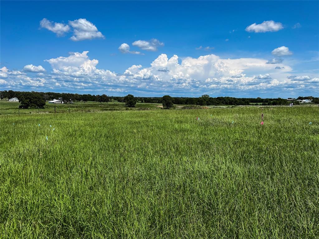 Small acreage, hilltop tract offering high elevation and long-distance views. Located roughly 4 miles east of Anderson, the property rests in a convenient location for easy access whether traveling to Montgomery, College Station or to the campuses of Anderson-Shiro ISD. Lightly restricted. Water well and Septic needed.