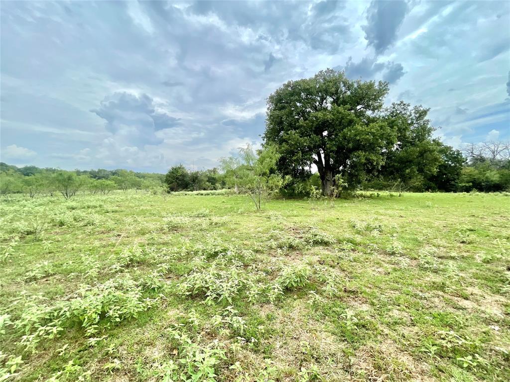 491 Lcr 437  , Mexia, Texas image 34