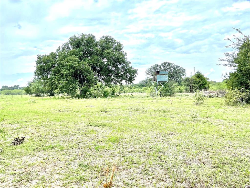 491 Lcr 437  , Mexia, Texas image 35