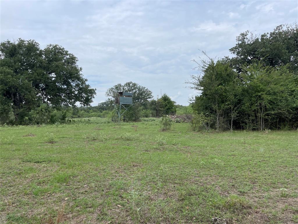 491 Lcr 437  , Mexia, Texas image 39