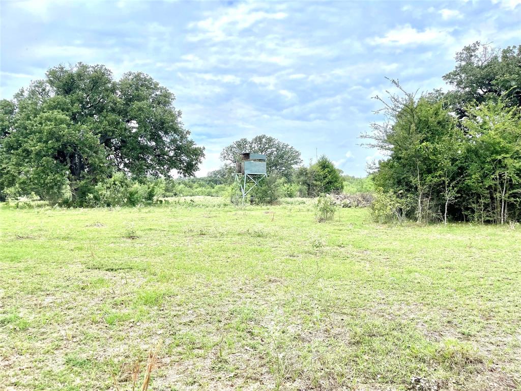 491 Lcr 437  , Mexia, Texas image 40