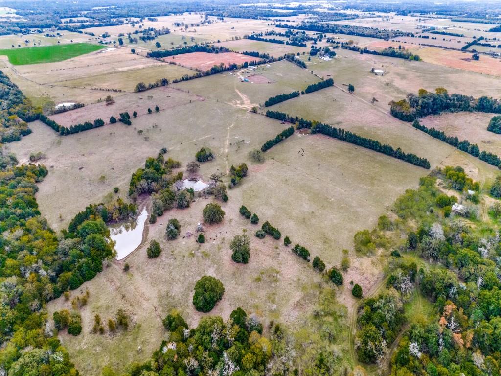 491 Lcr 437  , Mexia, Texas image 44