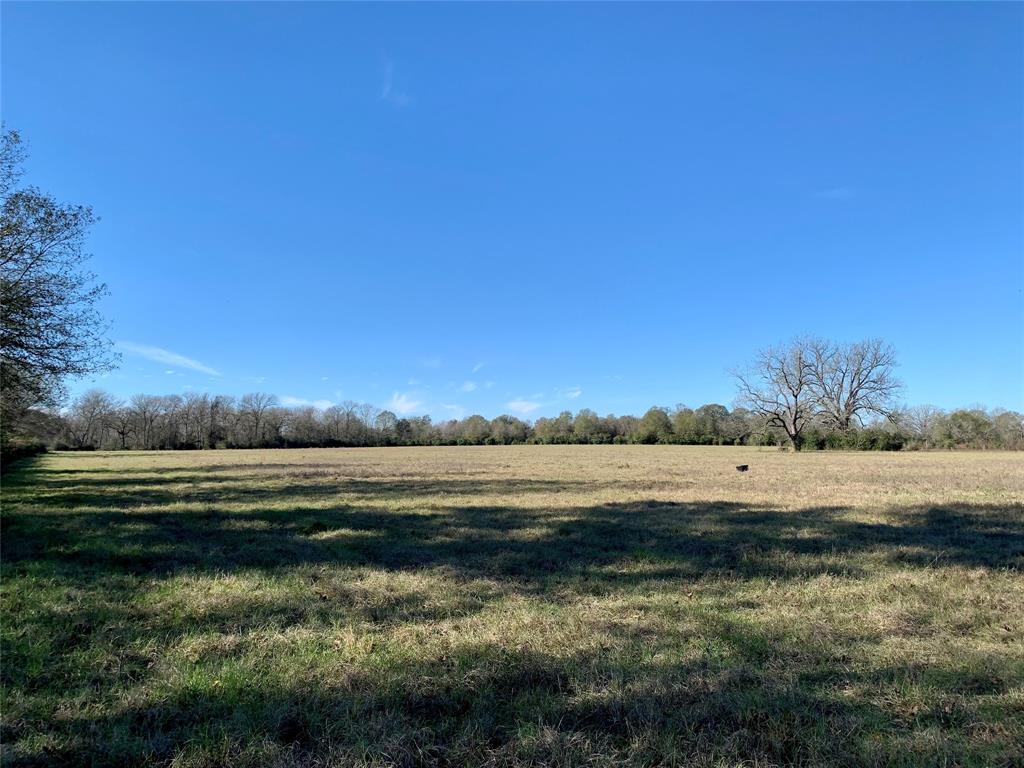 Awesome 19.102 Acre tract in Centerville approximately 6 minutes to I-45 being mostly cleared and high and dry ready for cattle grazing.  Great property for country living with a Greek past the back fence line. Good soil and cattle ready for grazing.  Very pretty tract of land call for an appointment.