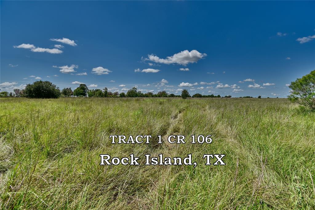 TBD Tract 1  County Road 106  Rock Island Texas 77470, Rock Island