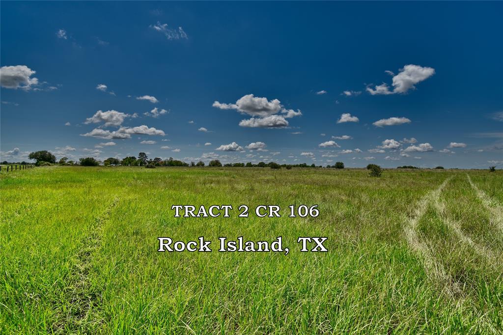 TBD Tract 2  County Road 106  Rock Island Texas 77470, Rock Island
