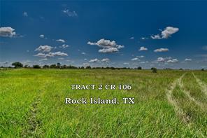 TBD Tract County Road 106, Rock Island, TX, 77470