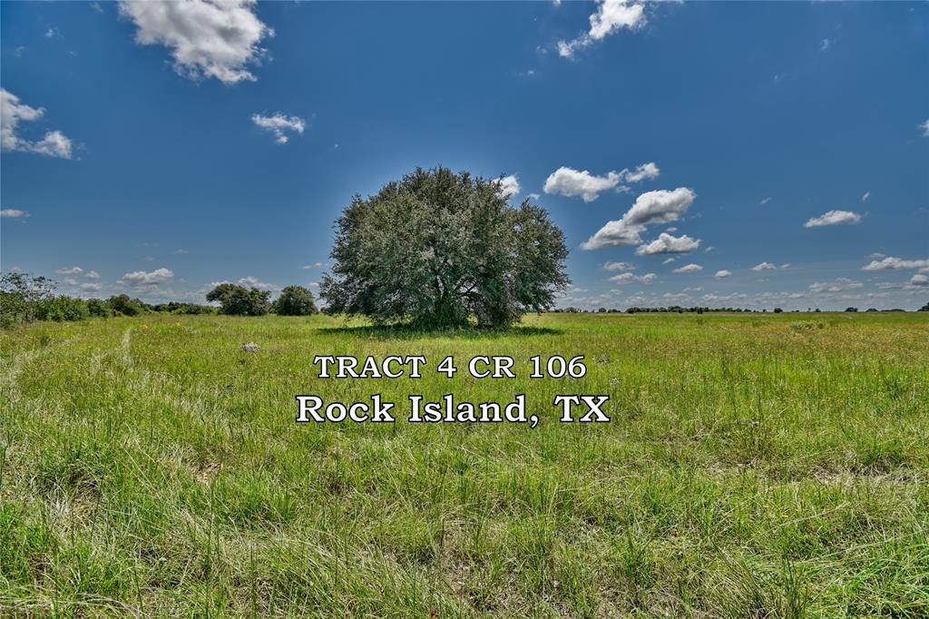 TBD Tract 4  County Road 106  Rock Island Texas 77470, Rock Island