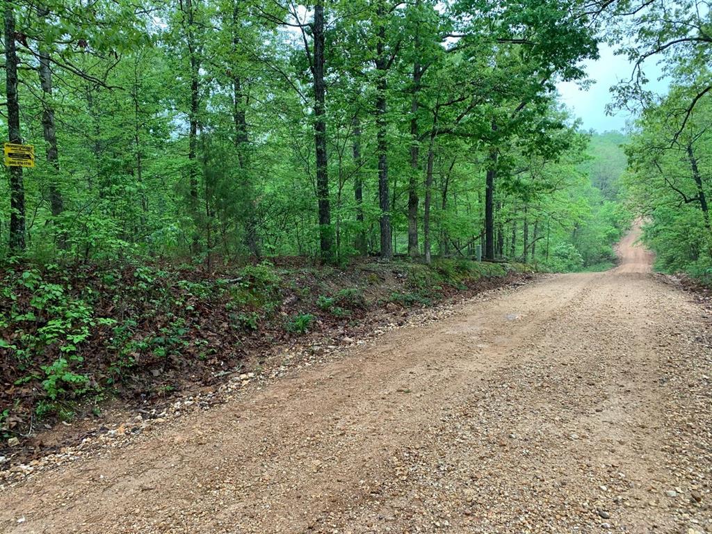 Lot 4 Oriole Drive, Other, AR 72482