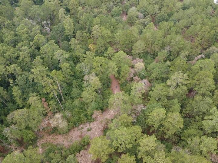 Two beautiful tracts totaling 71.55 acres covered in a multitude of trees to build your private oasis in the quiet country. Just a short distance from FM 1774 and Hwy 249, with no HOA, no restrictions, timber exempt and electric in the area. Property is heavily wooded but has a main trail for viewing. Call agent before viewing property.