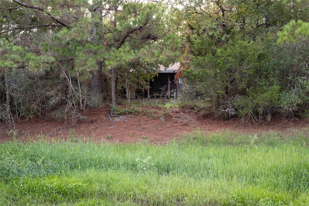Image 15