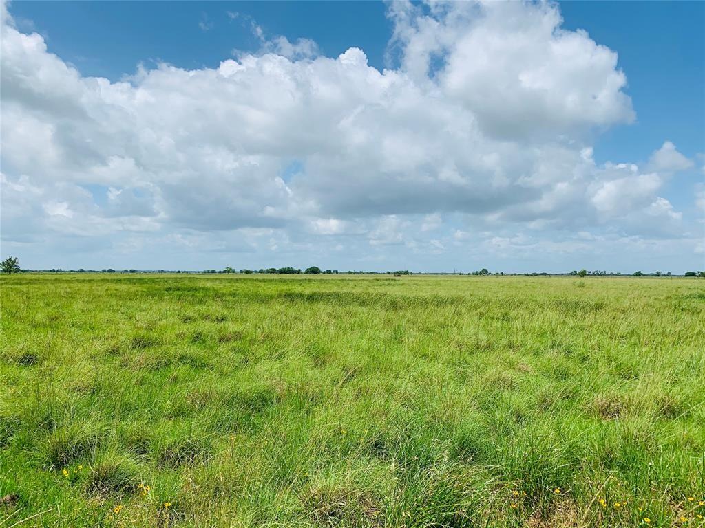 16+/- acres of pristine ranch land available inside Fort Bend County. The pasture is comprised of lush, native, coastal grasses that has been well maintained, and has supported successful cattle for years. Now, it is here for you to finally get out of the city, and into the country way of life. This gorgeous tract of land is waiting for you to build your dream barndominium, or farmhouse on with plenty of room for a pond; and extra acres for your livestock to roam freely. Conveniently located inside the highly desirable Needville ISD, and only 40 minutes to Houston, or 45 minutes to the beach and Gulf of Mexico. This peaceful country property awaits you to enjoy all it has to offer from the quiet, open spaces to the beautiful, big sky views at night. Call for a tour today, this one won't last long!