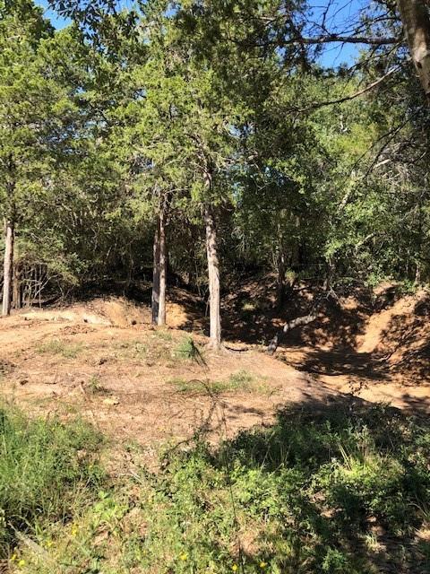 Running Creek in rear of property