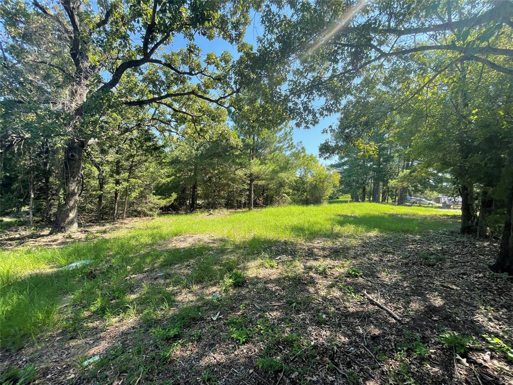 TBD  Medical Drive  Buffalo Texas 75831, 63