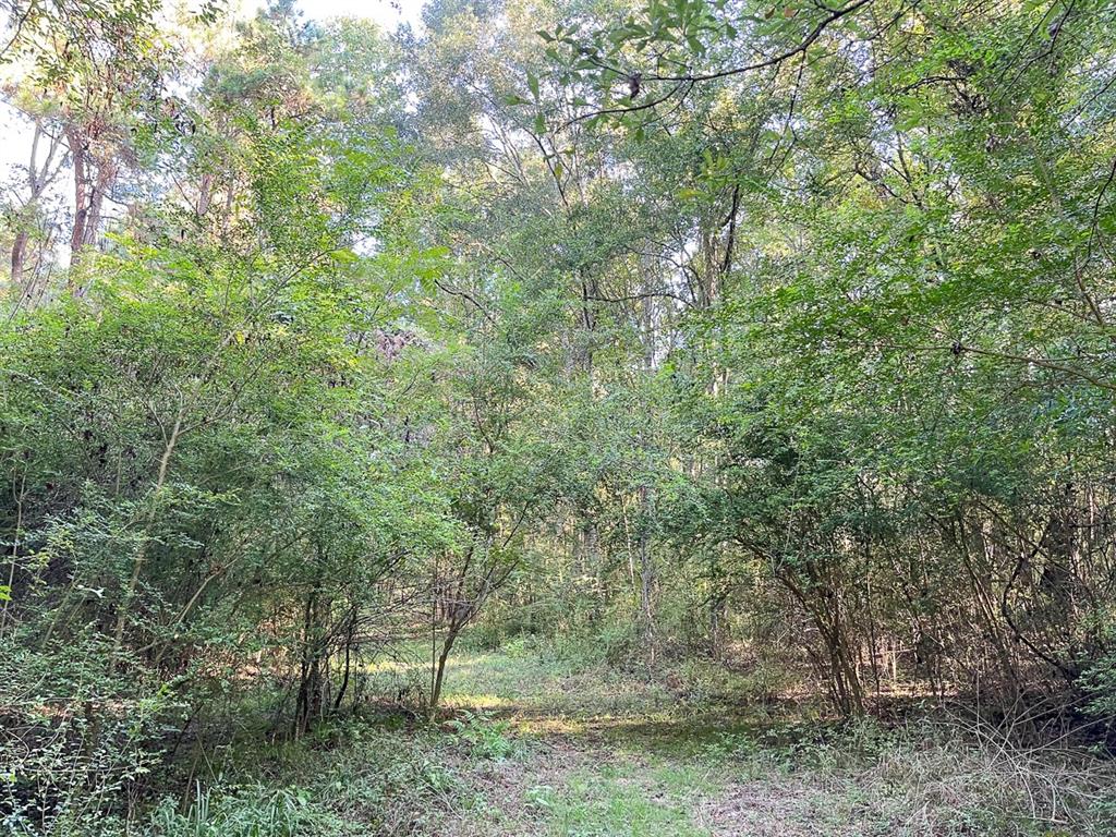 0 CR 2694, Huxley, TX 75973