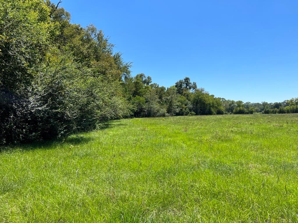 This beautiful 100+ acre tract is located only 20 minutes from Montgomery  45 minutes from The Woodlands. Fabulous opportunity to own a country retreat within commuting distance of the City. Hunters paradise or bring the livestock. Great mix of pasture and woods with Lake Creek running through the property. A nice mix of large trees grace the landscape with plenty of places to watch the native wildlife. Build your home or weekend cabin on the high ground overlooking the bottom land. Property borders the rail that separates it from the Town of Richards Tx. Only 45 minutes to Texas A&M in College Station. Call for a personal tour or to make an appointment to show.