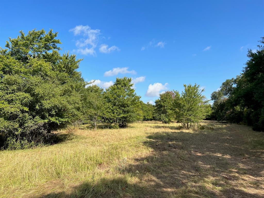 19.5 acres just outside of Jewett. Great location close to Nucor Steel and Lake Limestone! Good mix of pasture and woods with a live creek. Utilities are available at the road.