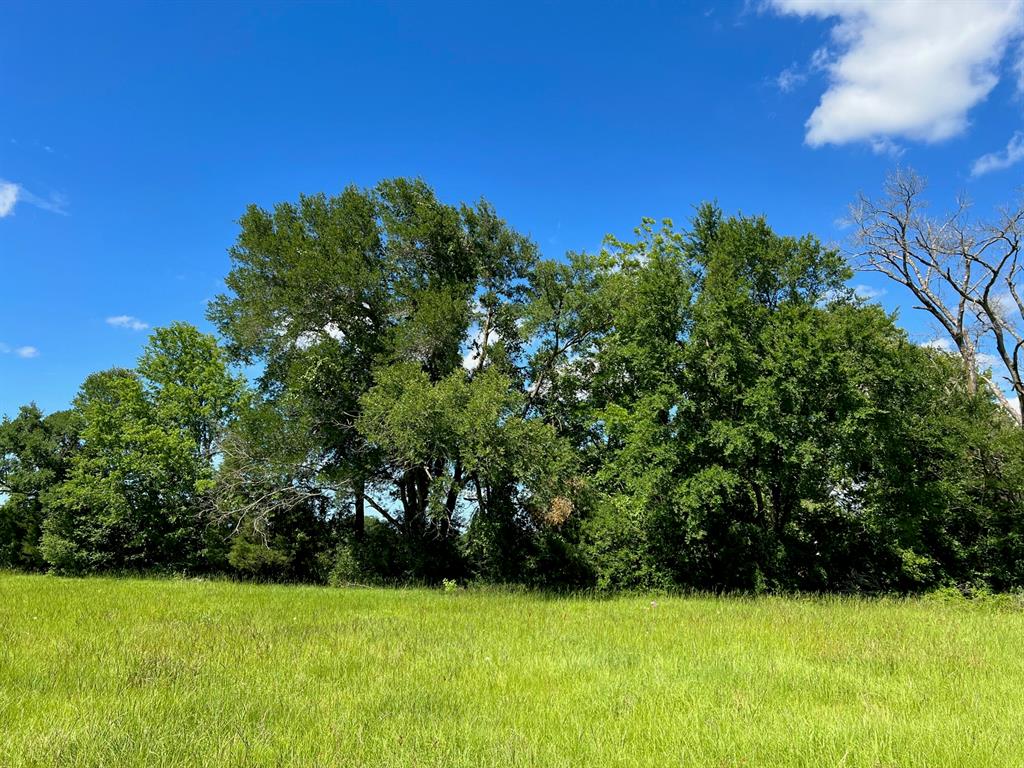 36.13 acres that offers a great homesite with lots of mature hardwoods and a pond! Land is 1/2 woods and 1/2 improved pasture. The tract is fenced on 3 sides with a creek running through the trees in the back of property. Located on Hwy 79 and CR 345 in Leon ISD. Allowing for an entrance off of either road! This property is located only 10 miles from Lake Limestone!