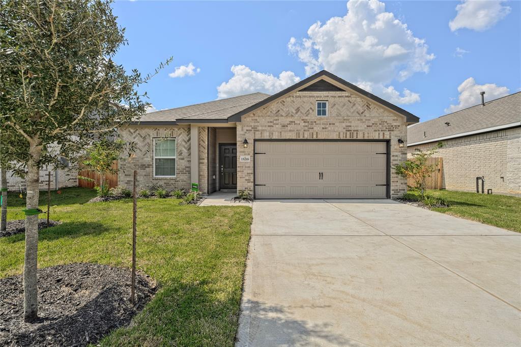 15218  White Moss Drive New Caney Texas 77357, New Caney