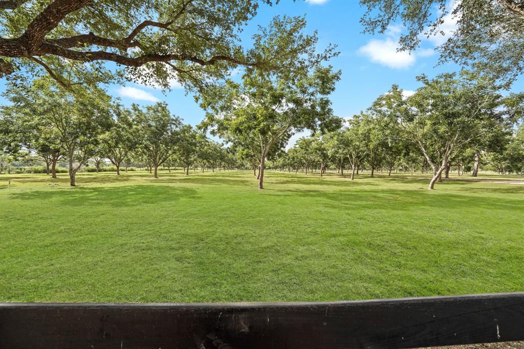 33246  Hannibal Road Fulshear Texas 77441, 30