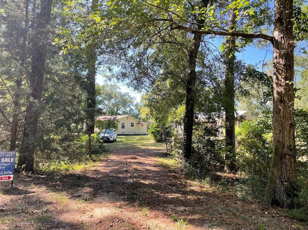 300 Runnels Lane