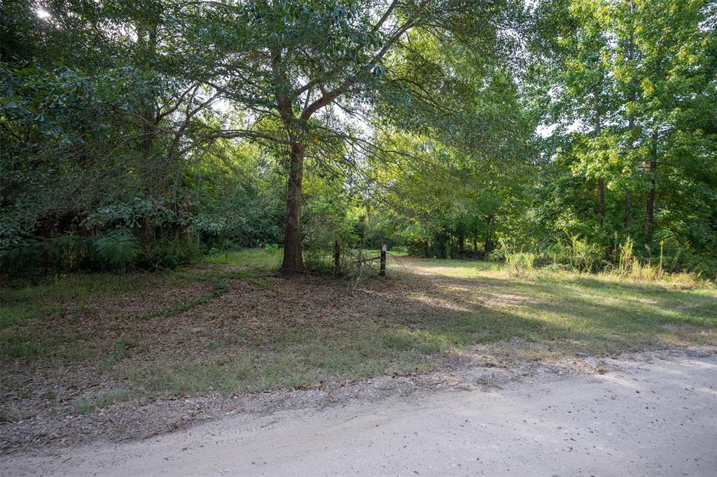 tbd  County Road 4360 Road Woodville Texas 75979, 48