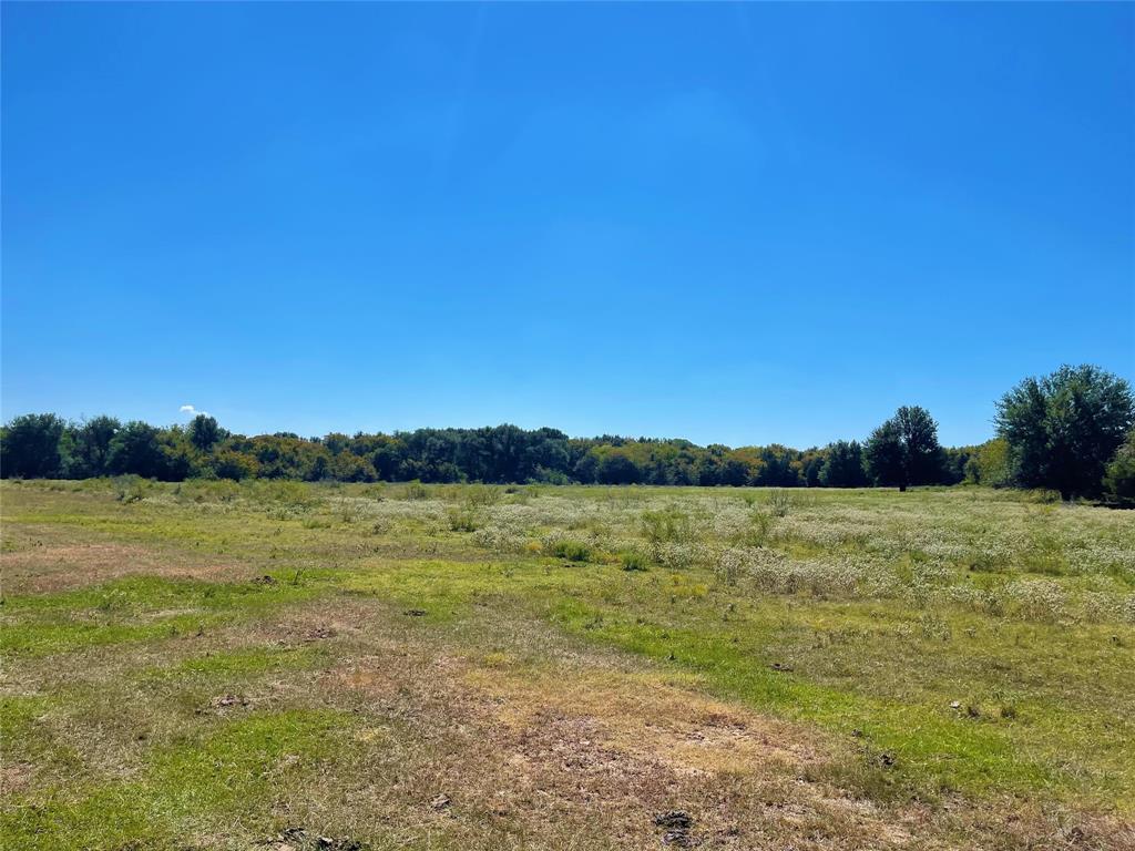 TBD County Road 971  , Mexia, Texas image 12