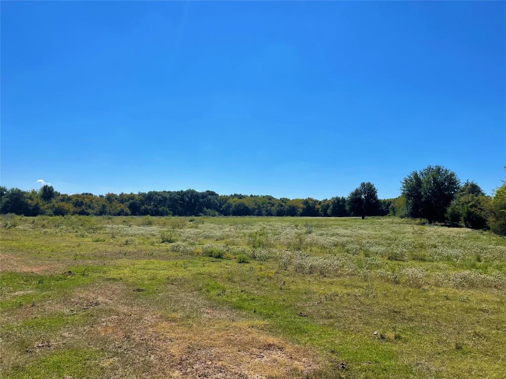 TBD County Road 971  , Mexia, Texas image 6