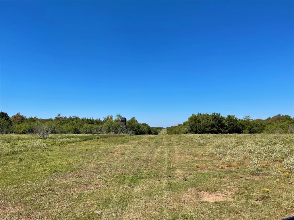 TBD County Road 971  , Mexia, Texas image 10