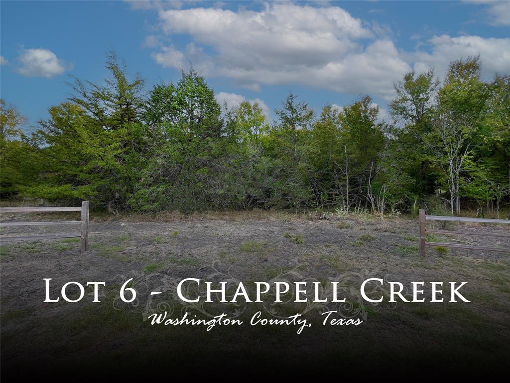 6 Chappell Creek Lane, Chappell Hill, TX 77426