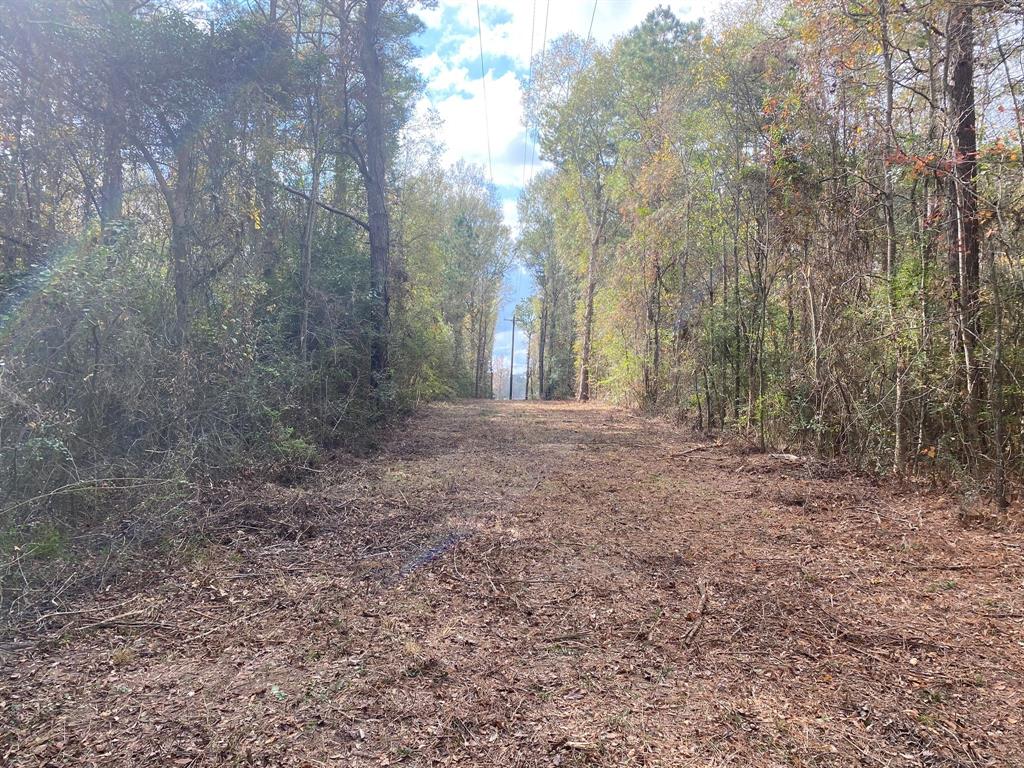 0  FM 1277  San Augustine Texas 75972, 78