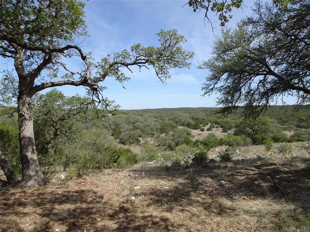 1490  Harper Ranch Road Leakey Texas 78873, 86