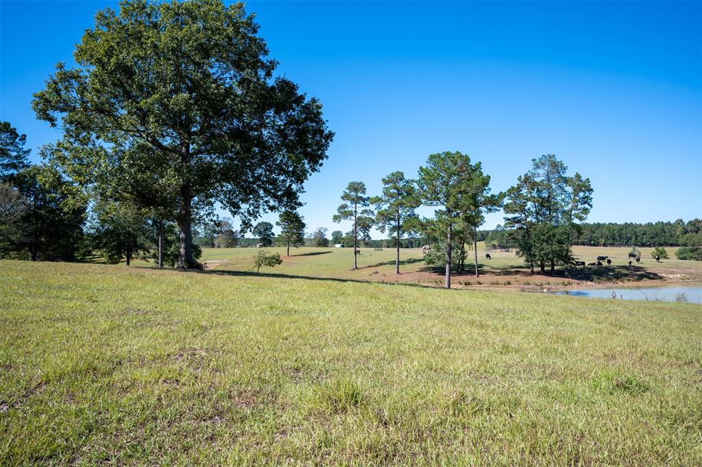 tbd  County Road 2050  Woodville Texas 75979, 48