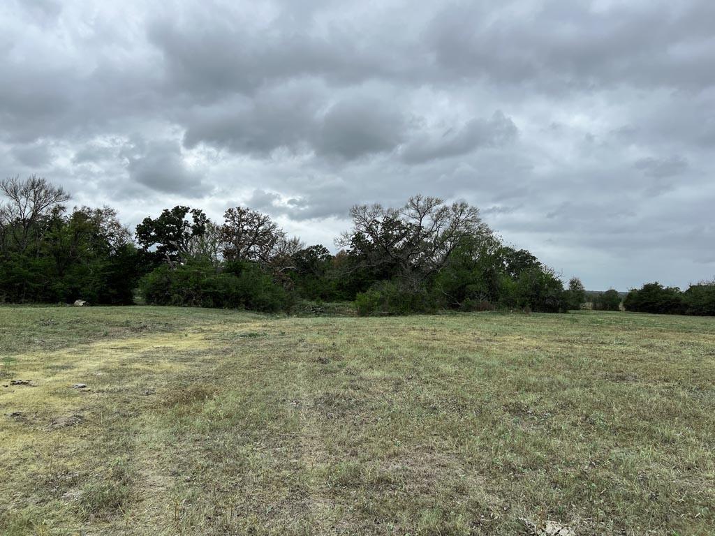Tract #1 Fm 2562 Road, Richards, TX 77873